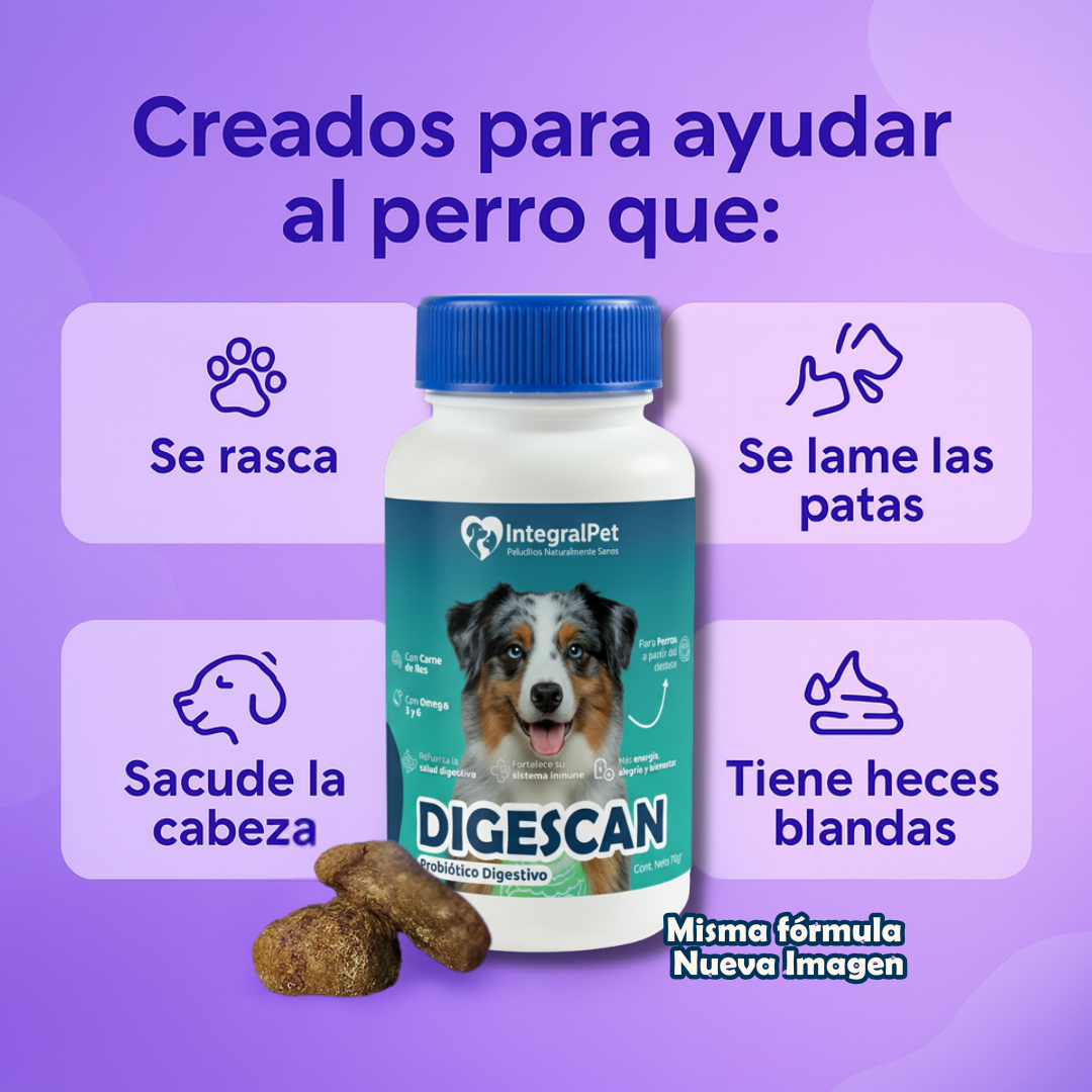 Perro saludable con IntegralPet