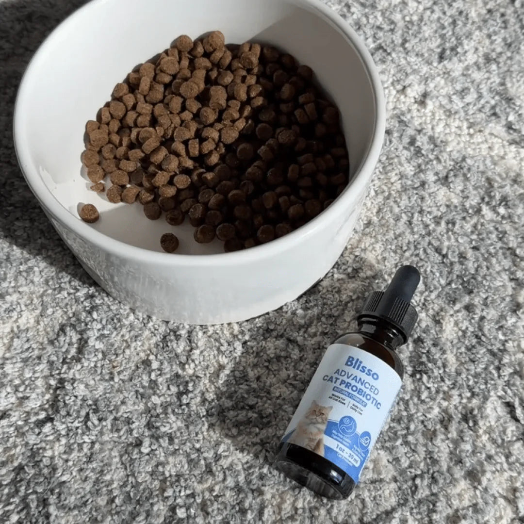 Blisso Advanced Cat Probiotic