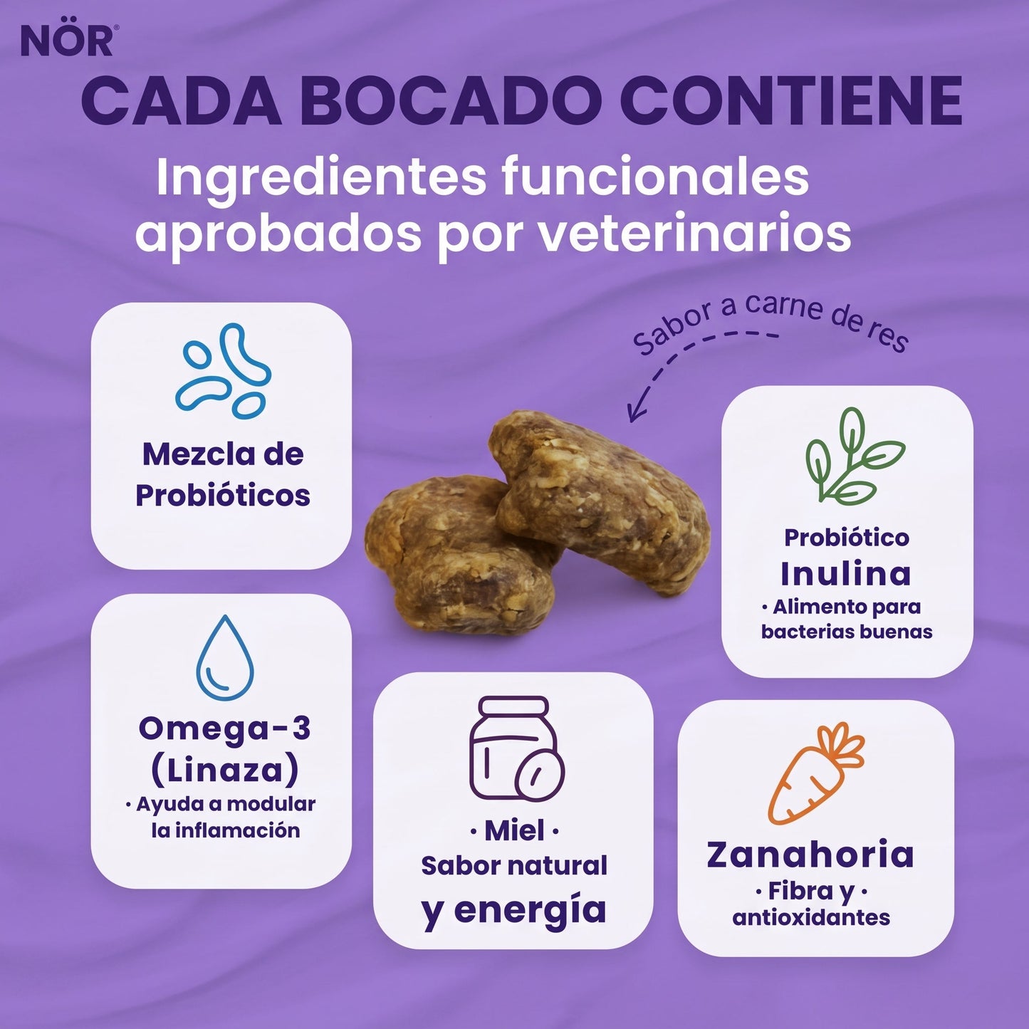 Ingredientes NÖR Gut Guard Pet