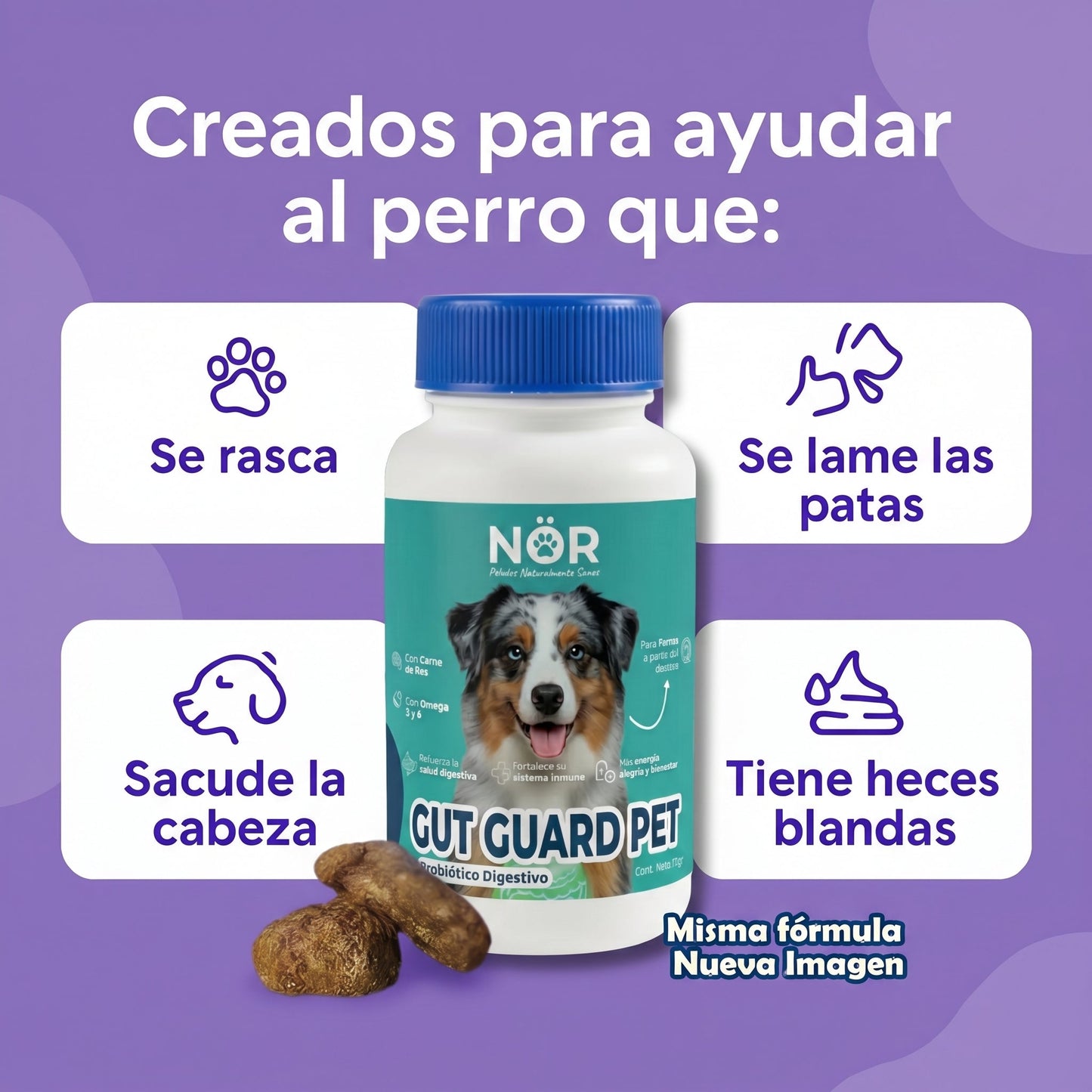 Síntomas que NÖR Gut Guard Pet alivia